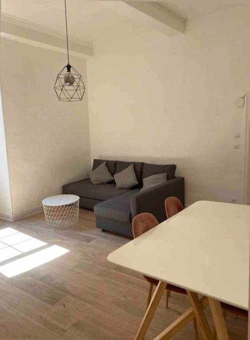 Appartement De Charme Au Coeur Du Centre Ville . Millau Eksteriør bilde